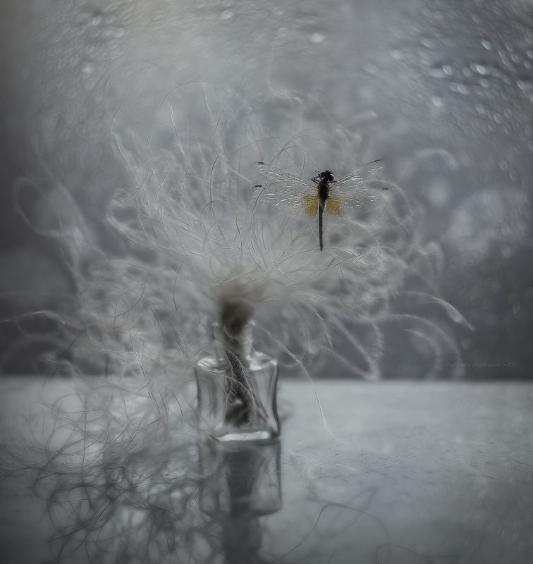 жёлтые крылышки осени*photo preview