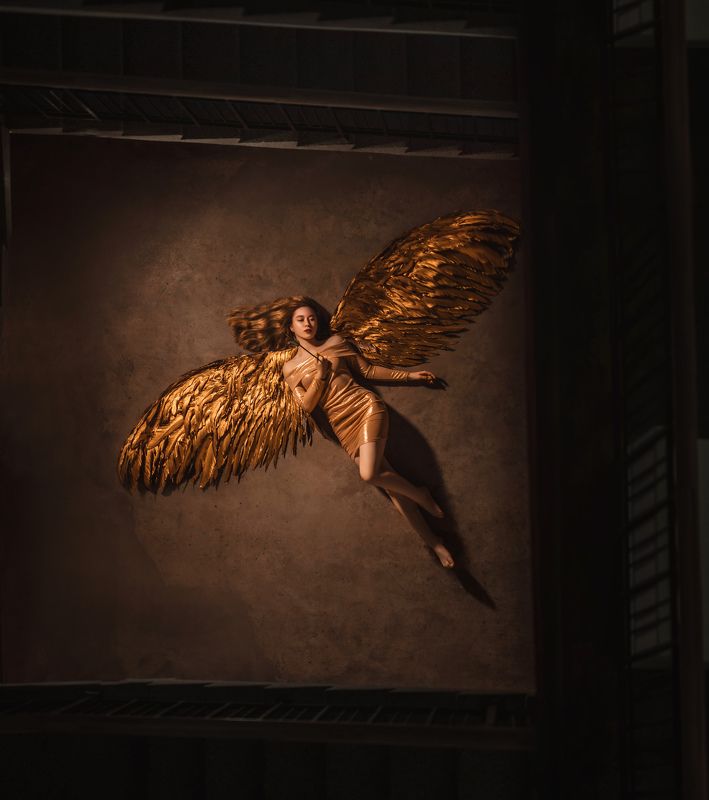 Раненая птицаphoto preview