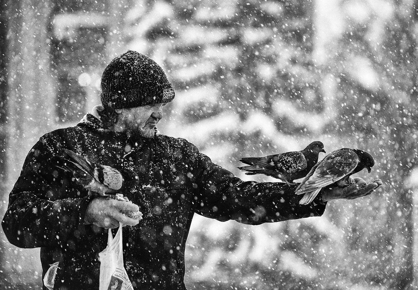 ***. Автор: Alexander Slepcowski , Alexander Slepcowski