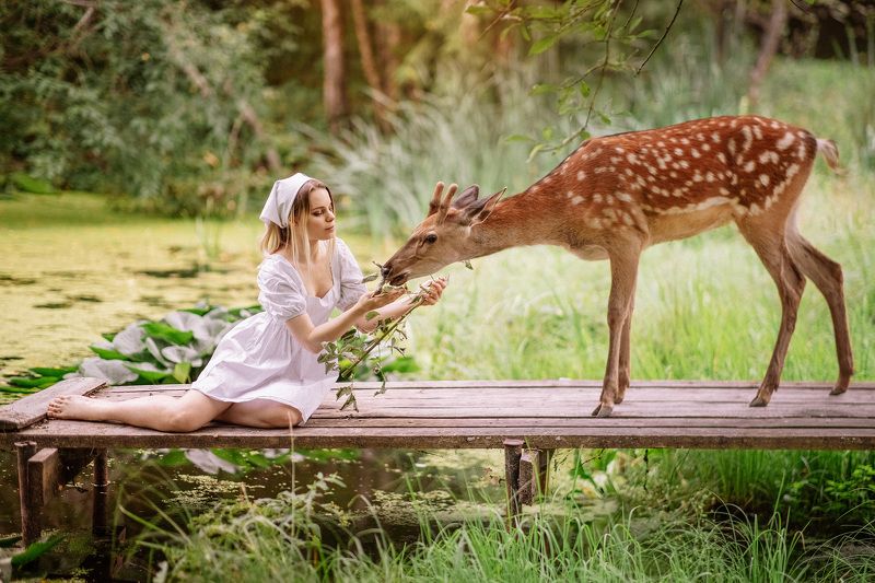 фото превью