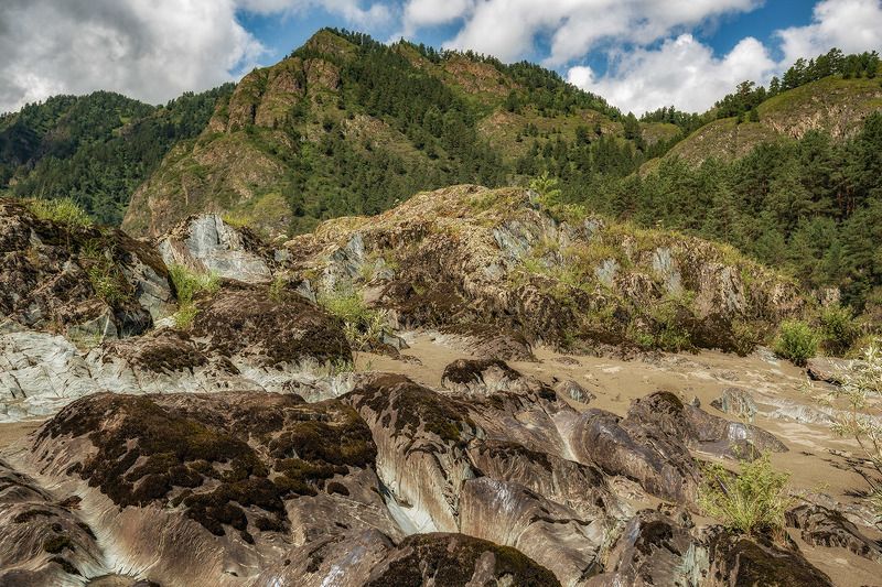 природа ***photo preview