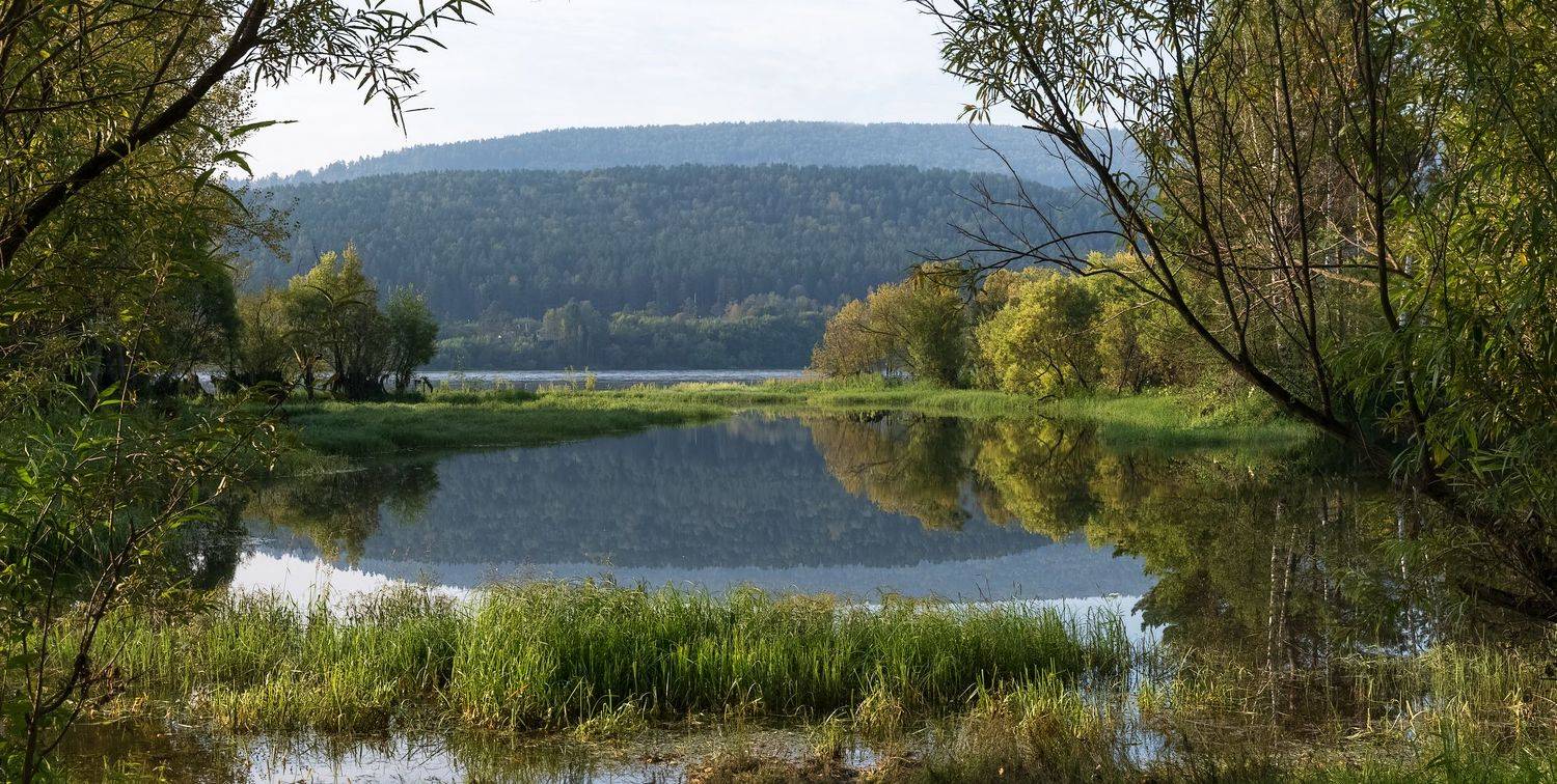 Утренняя тишина. Автор: Марина Фомина сибирь, енисей, утро, Марина Фомина
