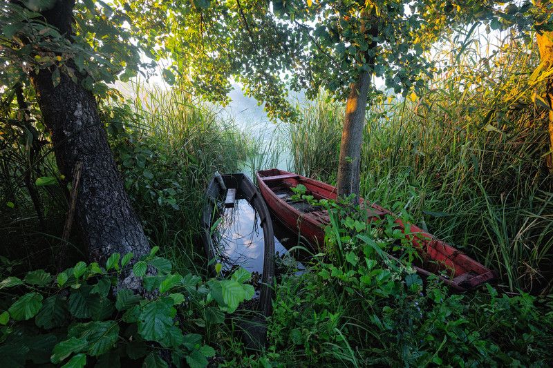 Августphoto preview