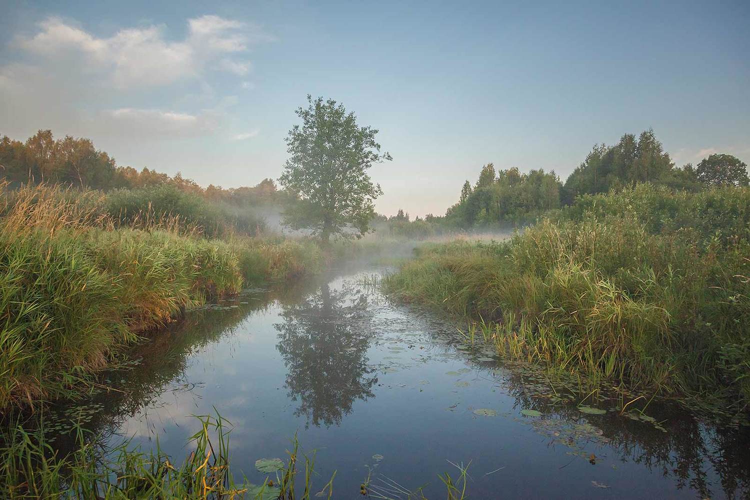 , Напалкин Станислав