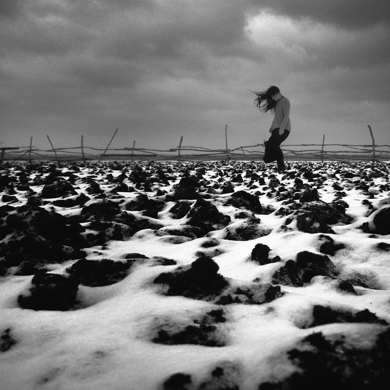 Potapov.storephoto preview