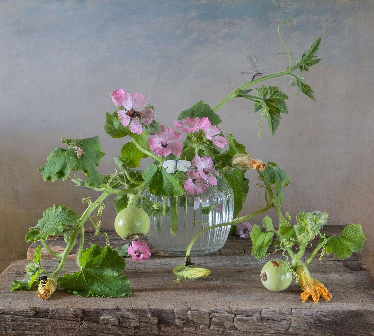 Нежные кудряшки, бабочки, цветочки. Автор: Галина Тришина тыквы,бабочки,цветы,стрекоза,завитушки, Галина Тришина