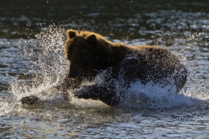 Я все равно тебя поймаюphoto preview