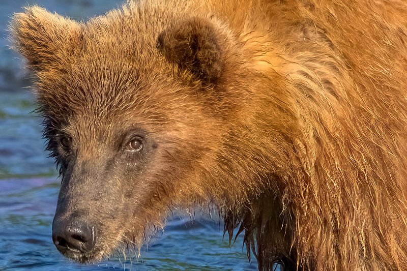 А ты кто?photo preview