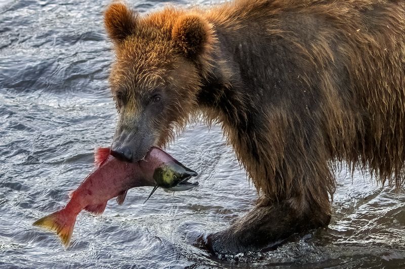 На обедphoto preview