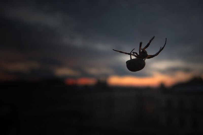 #deep.spb, #deepspb, #санктпетербург, #петербург, #спб, #питер, #saintpetersburg, #petersburg, #spb, #piter, #город, #city, #street, #streetphoto, #streetphotography, #cityscape, #urbex, #urbexphoto, #urbanexploration, #streetphotography, #architecture, # deep.spb ****photo preview