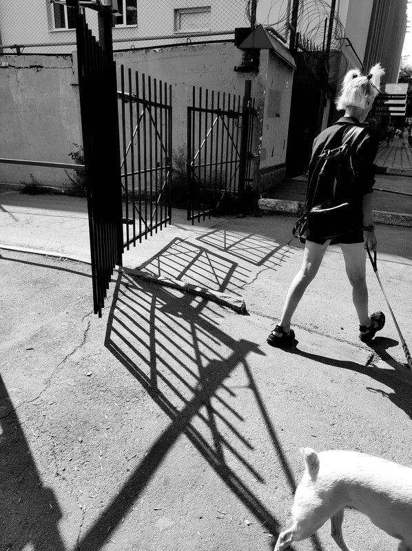 ponytails, b&w, жанр, стрит, хвостики Ponytails фото превью