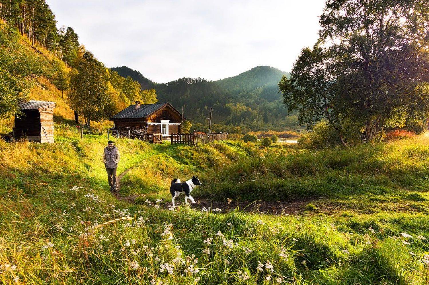 Местный житель . Автор: Алексей Закиров Байкал, осень, кбжд, Алексей Закиров