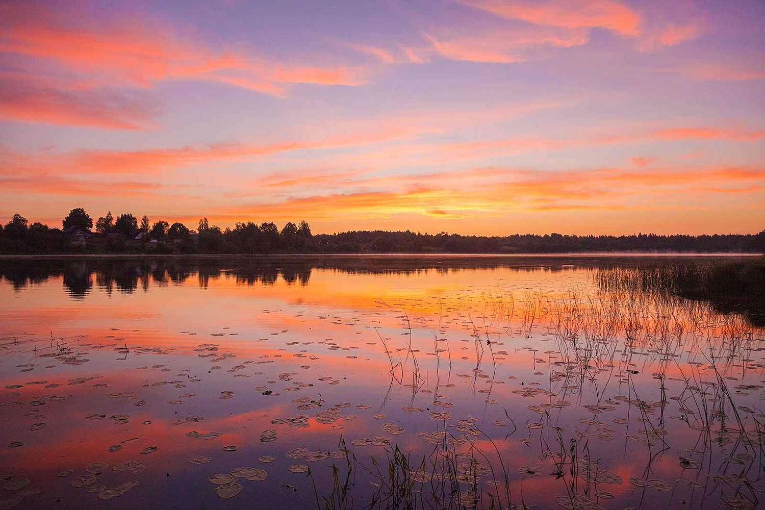 , Напалкин Станислав