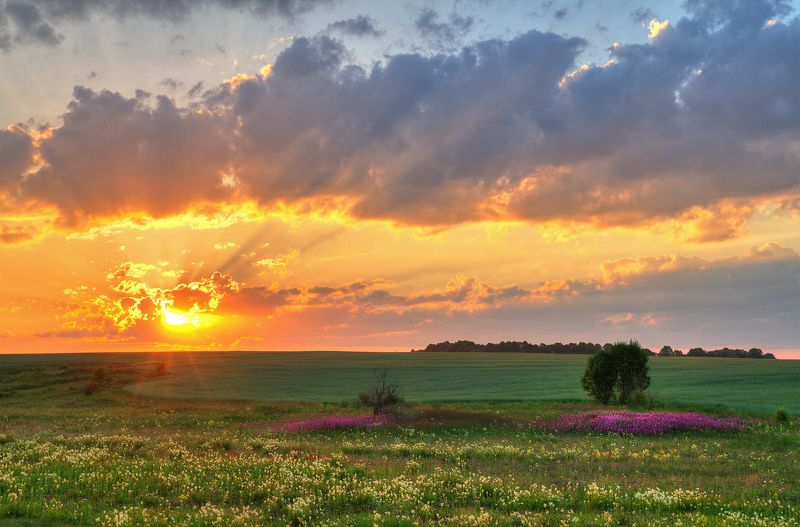 Закат в июлеphoto preview