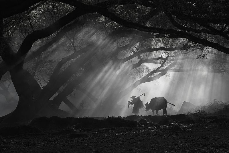 Good morning!photo preview