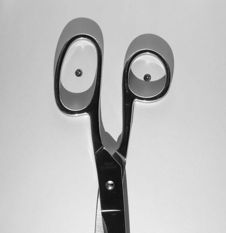 ножницы Портрет ножницphoto preview