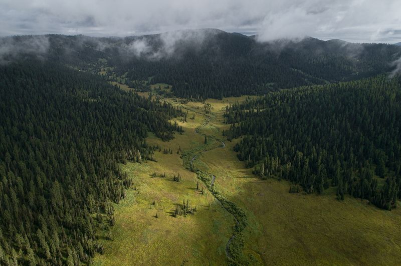 Ергаки, Нерозя, Саяны, Сибирь, лес, пейзаж, туман Страна хоббитовphoto preview
