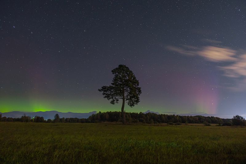 Северное сияние в Ярославской областиphoto preview