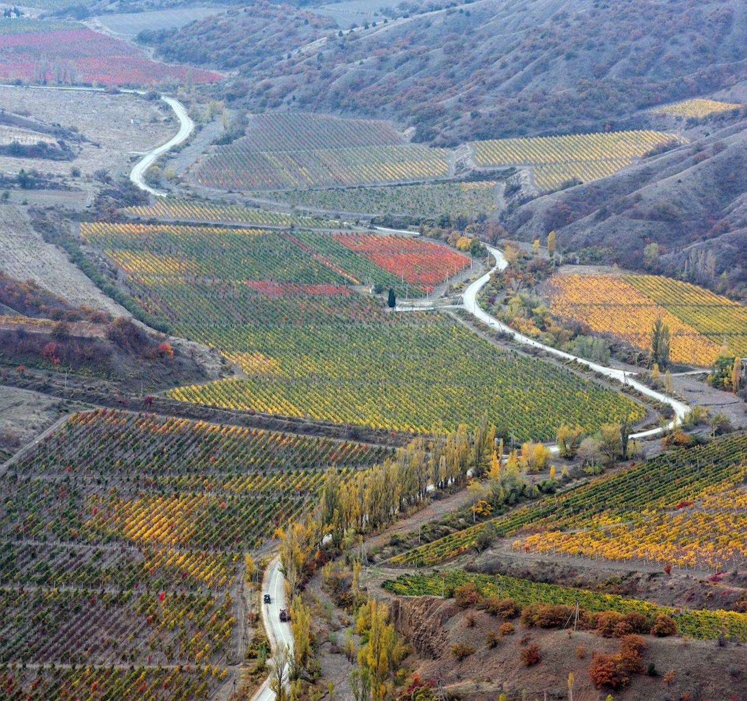 осеннее настроение. Автор: Андрей Гусаченко , Андрей Гусаченко