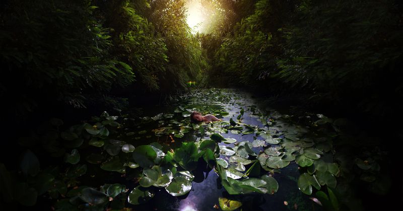 Болотоphoto preview