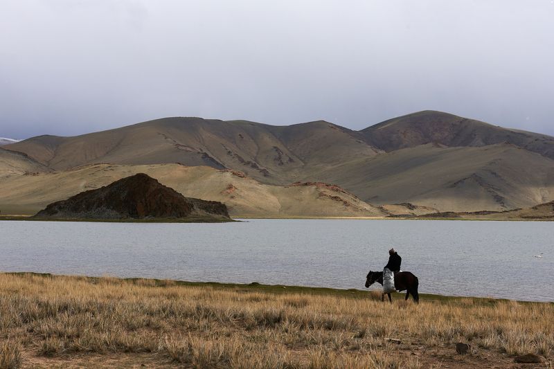 Невеселые думыphoto preview