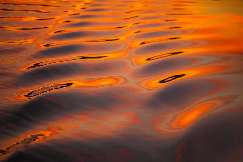 На утренней волнеphoto preview