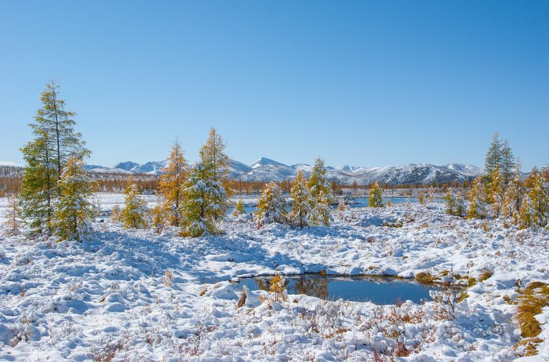 Первый снегphoto preview