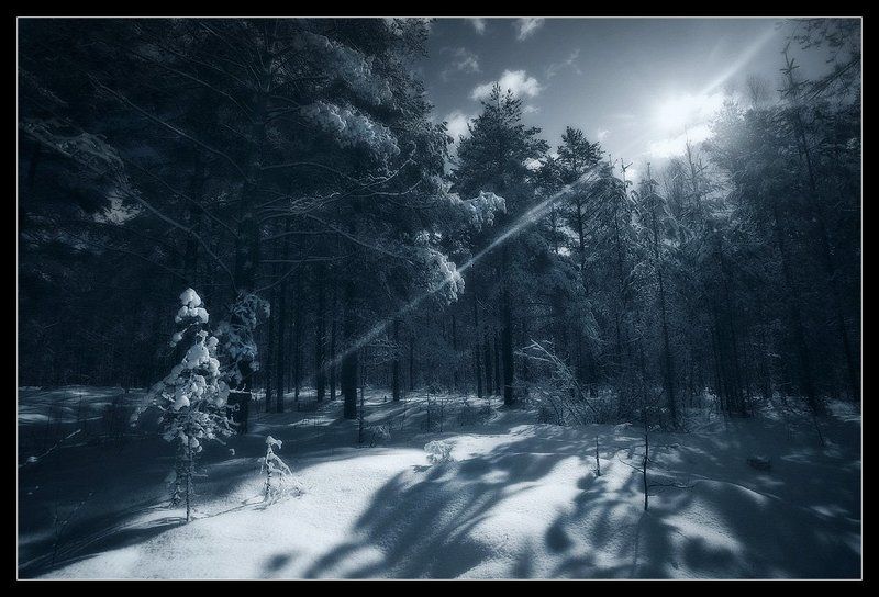 snowtimephoto preview