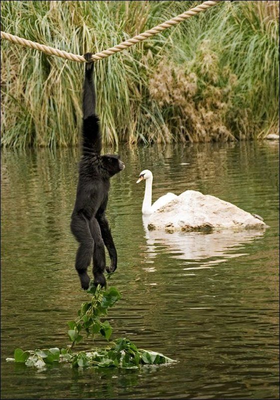 Два мира - две судьбыphoto preview