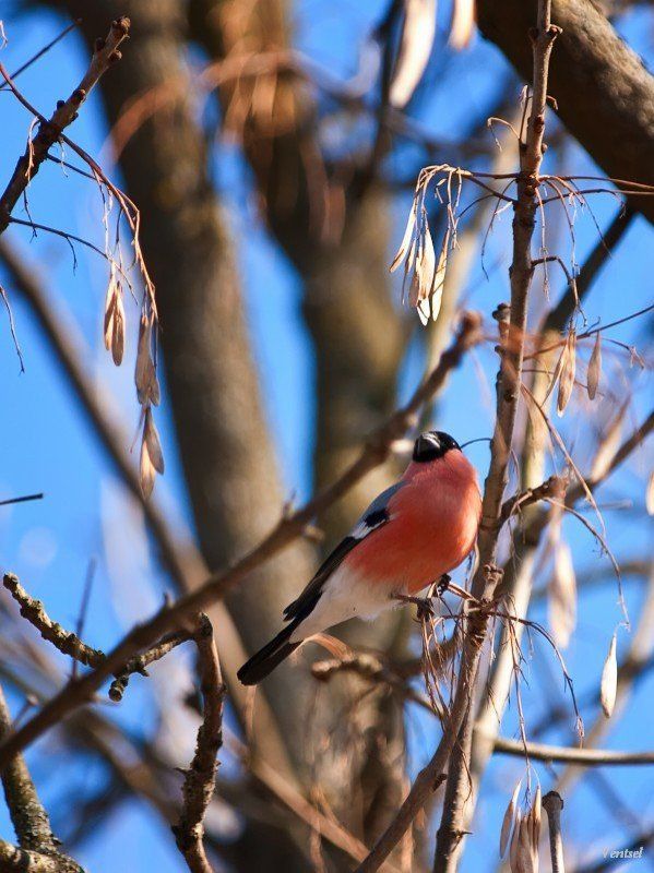 Весна пришлаphoto preview