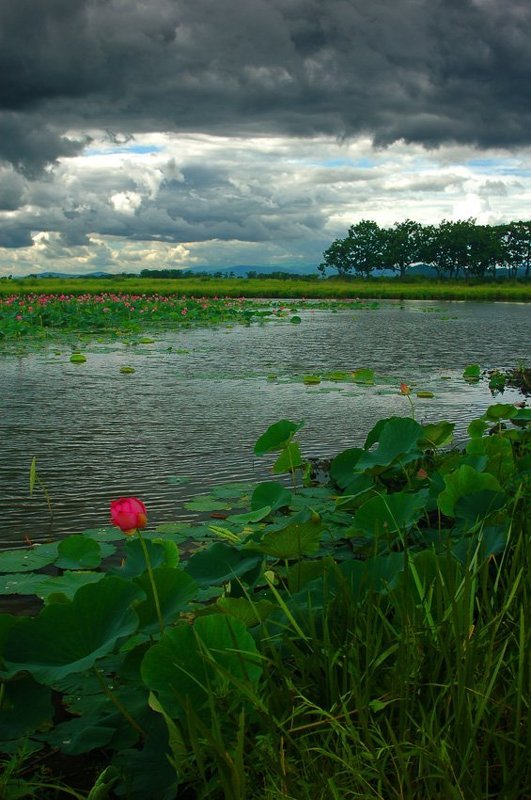 перед ненастьемphoto preview