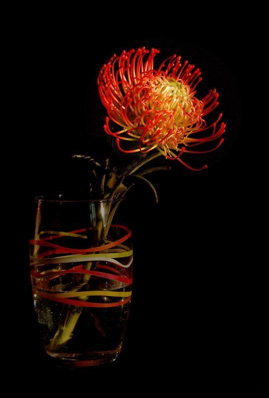 натюрморт на чёрном фонеphoto preview