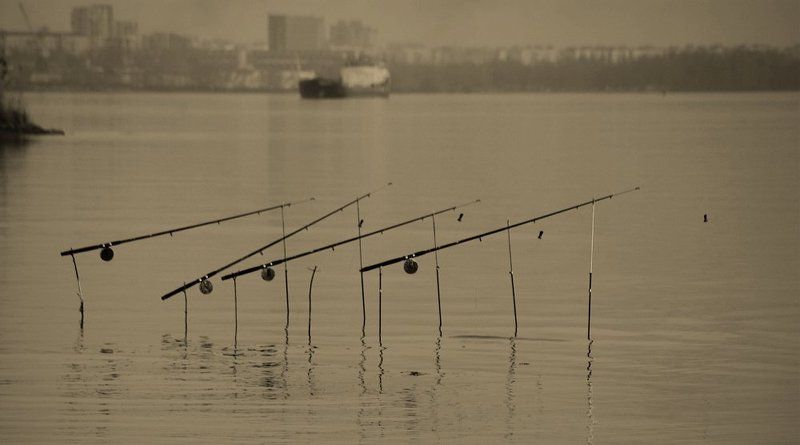 квартетphoto preview