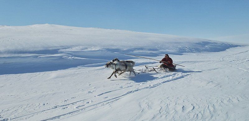 ненец, оленевод, север, жизнь на краю земли с вестьюphoto preview