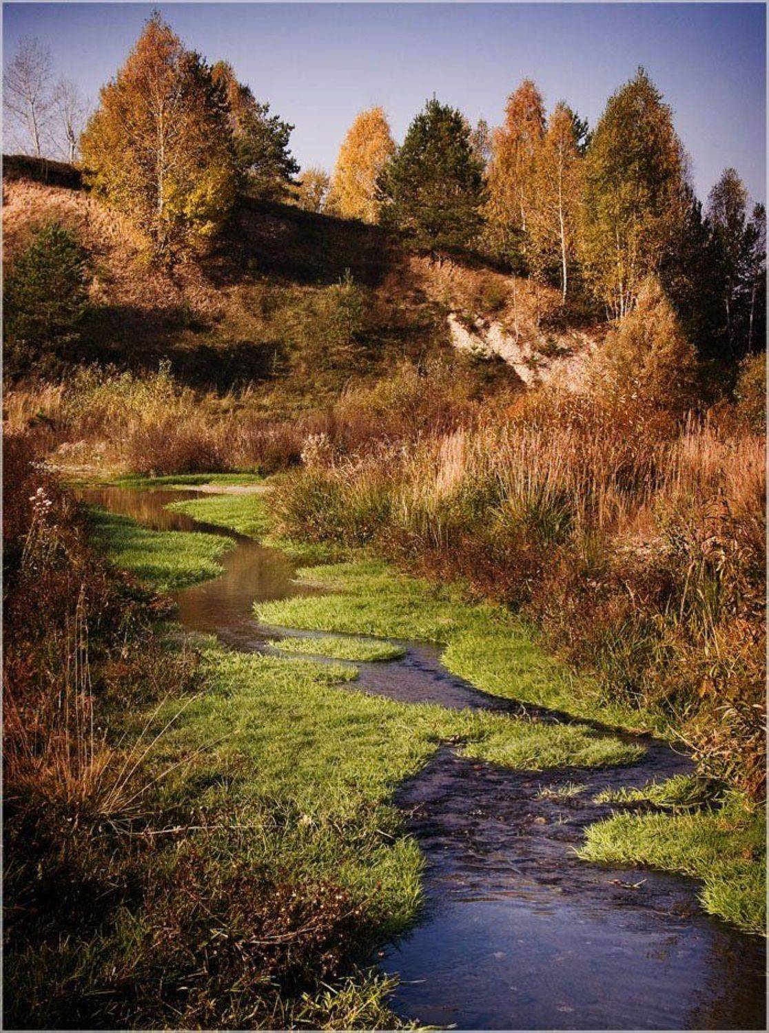 , Сергей Борисов