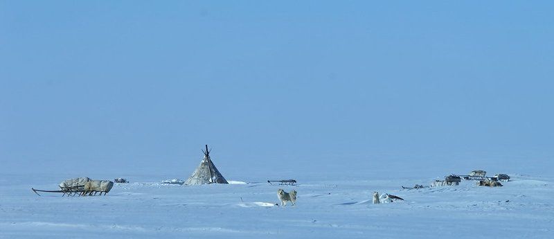 чум, жизни на краю земли, север, тундра жилище (чум)photo preview