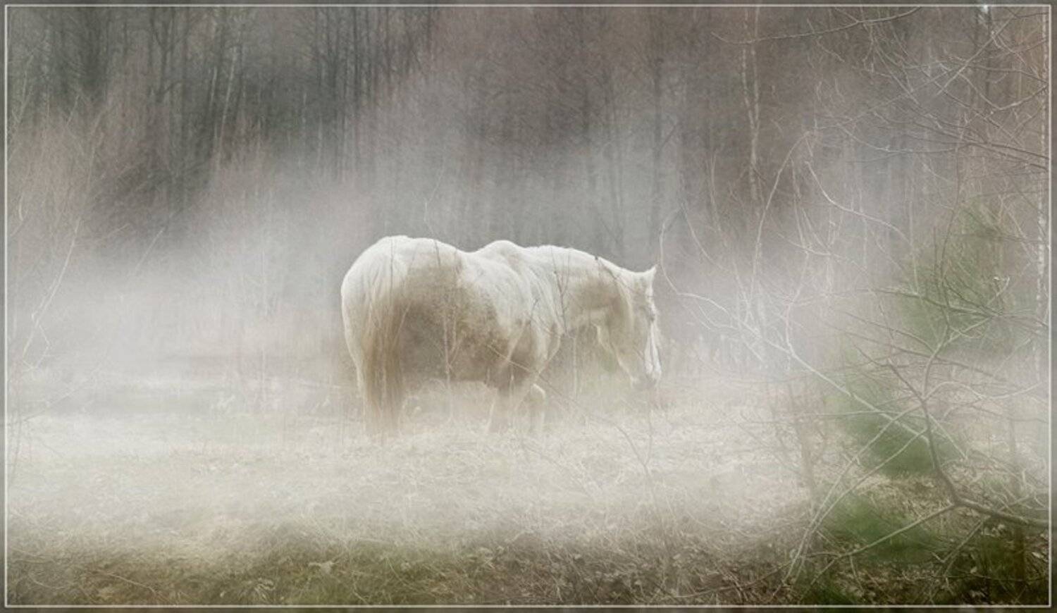 Старость.Одиночество.... Автор: Олег Бо , Олег Бо