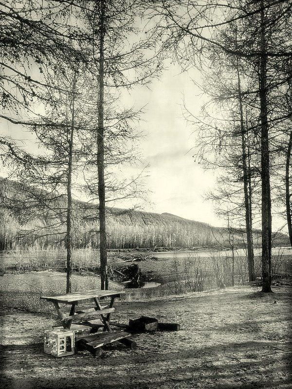 таежный  натюрморт..photo preview