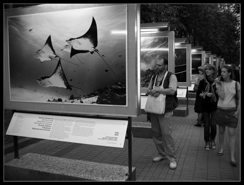 выставка, наблюдатель, миг, лето, люди, мысли, жанр Наблюдательphoto preview