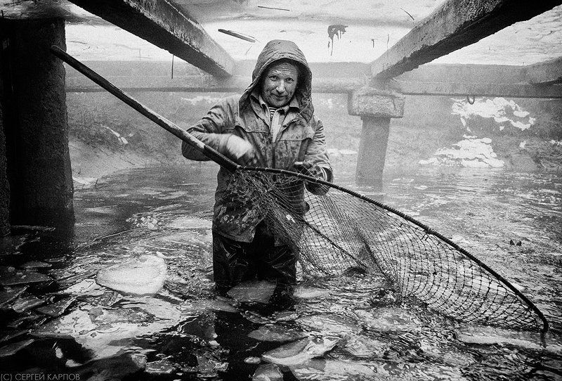 рыбак, жанр, садок Рыбакphoto preview