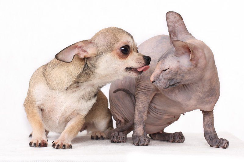 Про чувства))photo preview