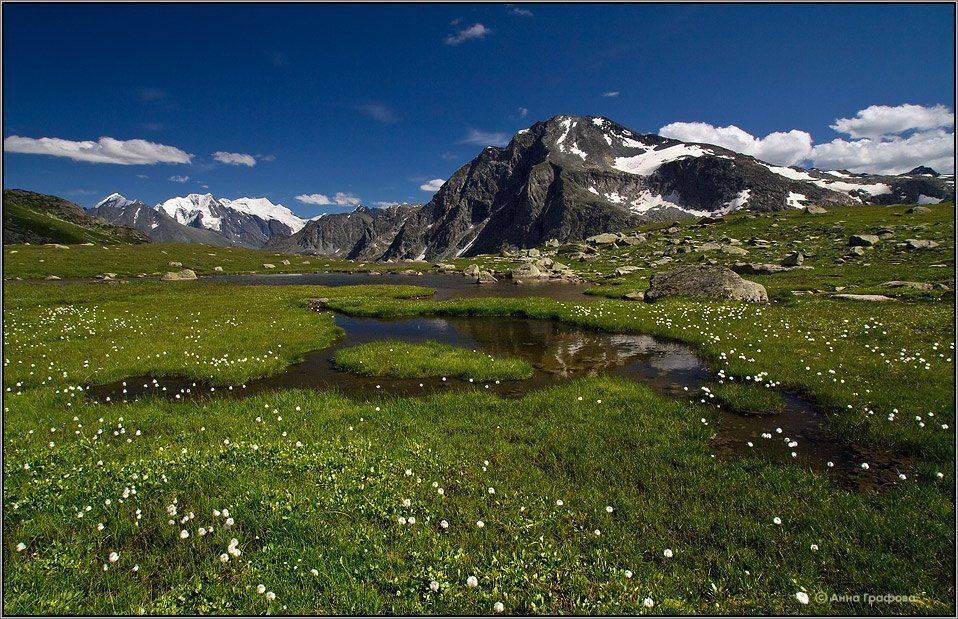 алтай, горы, горный алтай, йолдо-айры, дарашколь, пушица, пик рериха, корона алтая, белуха, аня графова, Аня Графова
