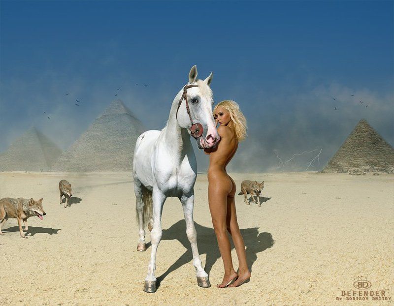 Defenderphoto preview