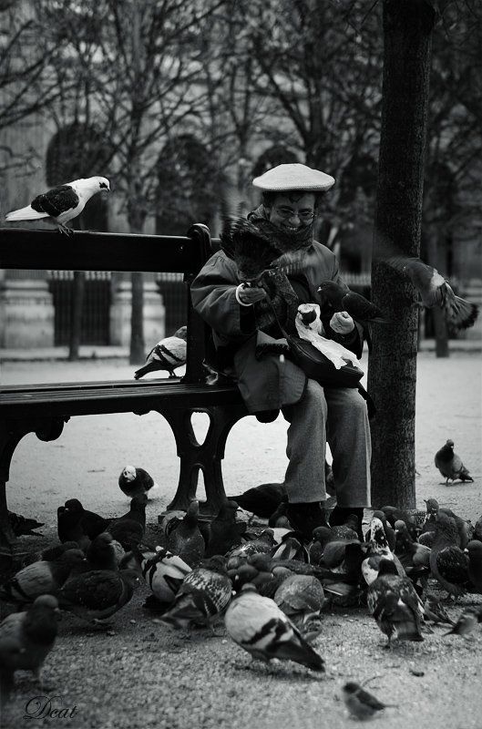 франция, париж, пале-рояль, голуби, женщина, время, ланча Lanchtimephoto preview