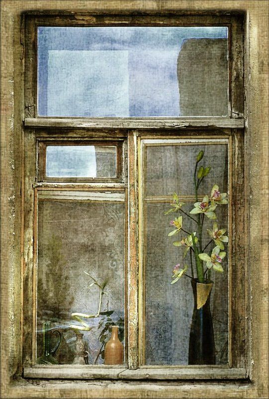 санкт-петербург, лычёв александр ***photo preview