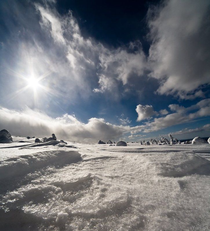 Солнечный денёк...photo preview