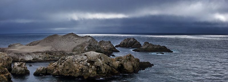 Birds Islandsphoto preview