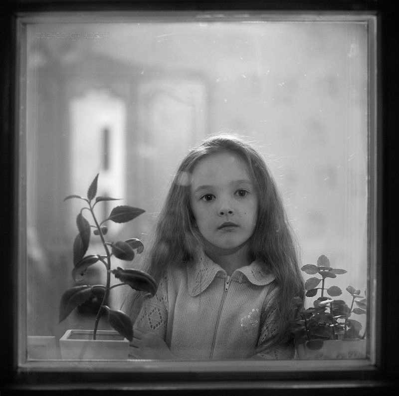 девочка,вечер,окно А за окном...photo preview