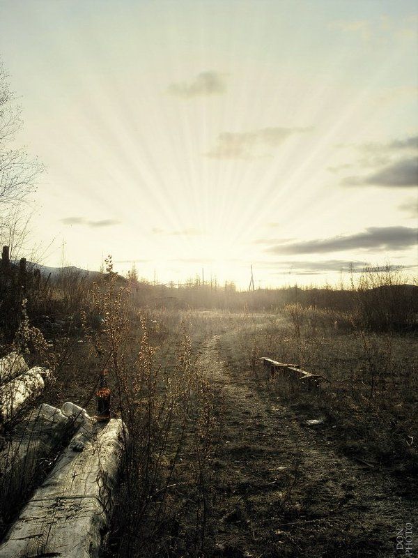 к свету...photo preview