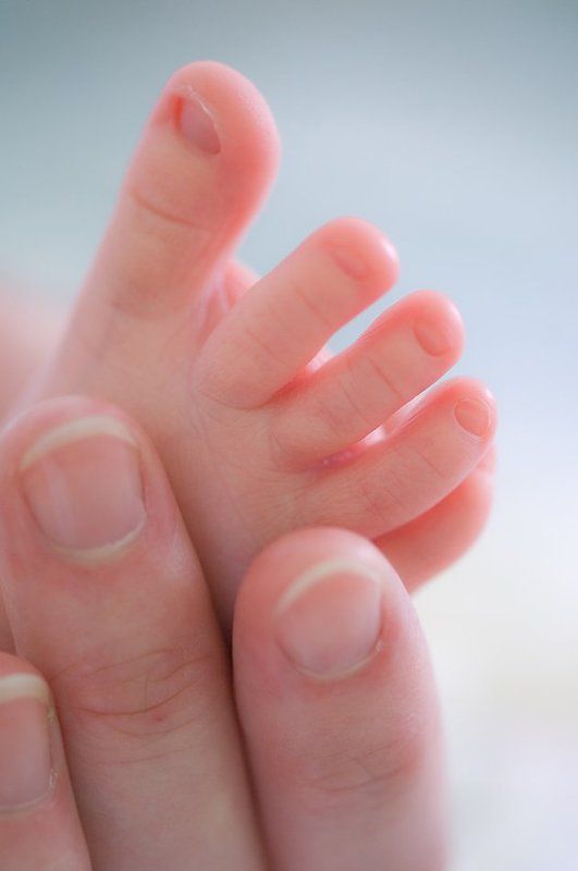 дети, новая жизнь пропорцииphoto preview